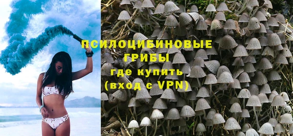 твердый Алексин