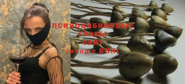 твердый Алексин