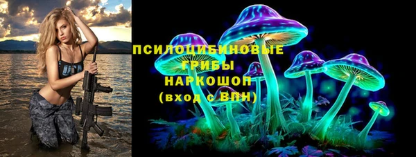 твердый Алексин